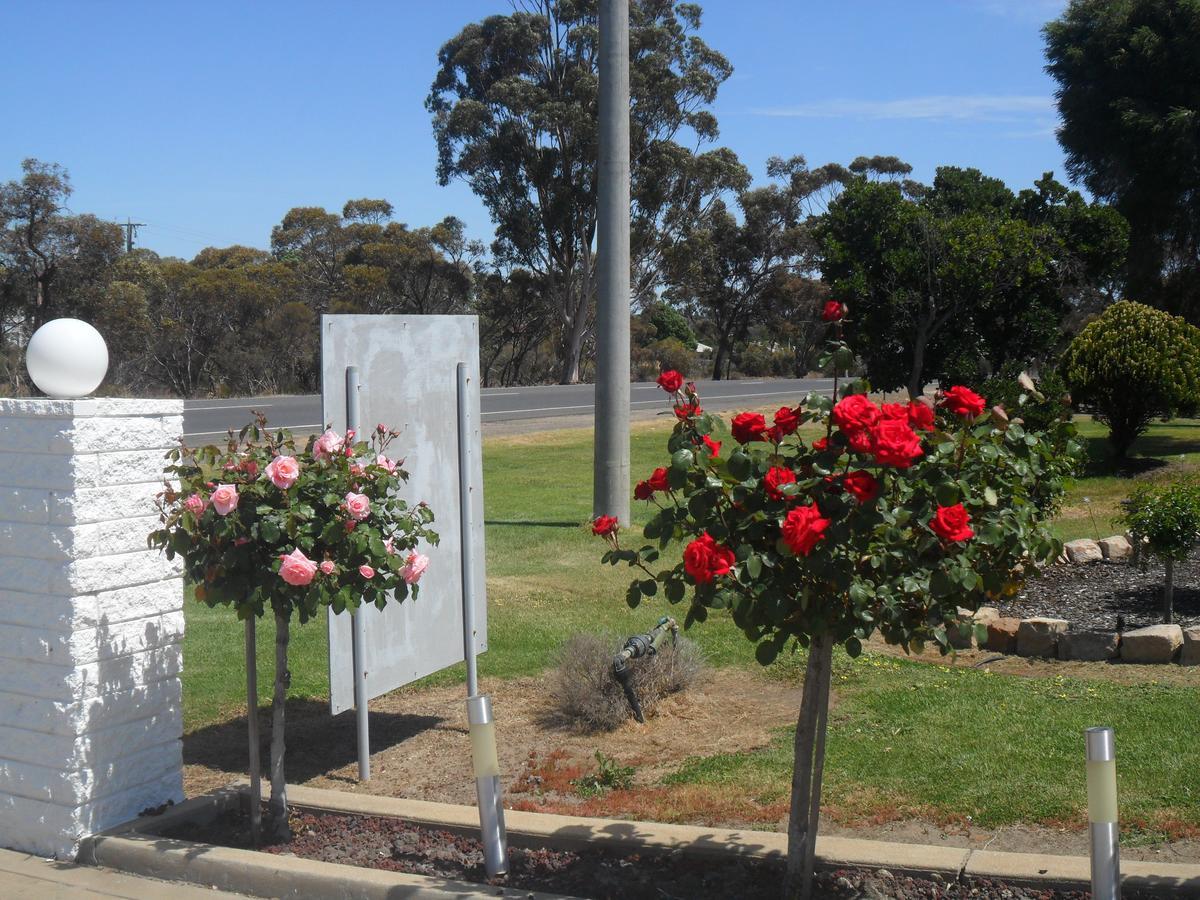 丁布拉汽车旅馆 Dimboola 客房 照片